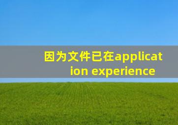 因为文件已在application experience